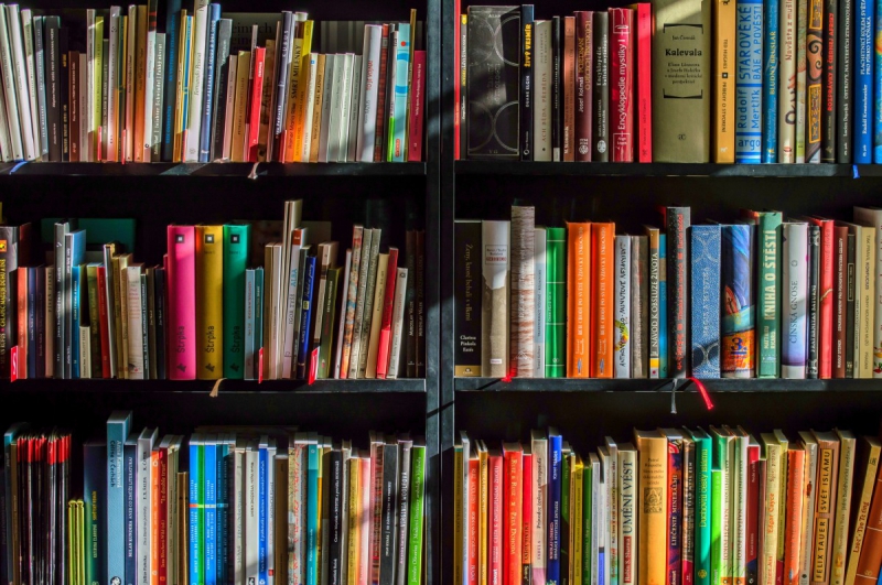 vente-ST JULIEN-min_books_bookstore_book_reading_shop_writer_sale_books_read-822866